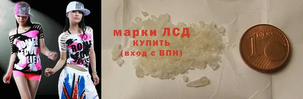 прущие грибы Алзамай