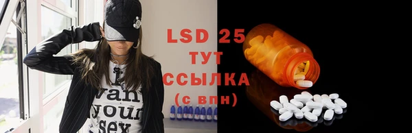 прущие грибы Алзамай