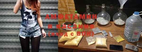 прущие грибы Алзамай