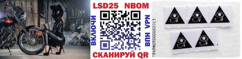 МЕГА ТОР  продажа наркотиков  Олонец  Наркотические марки 1,5мг 